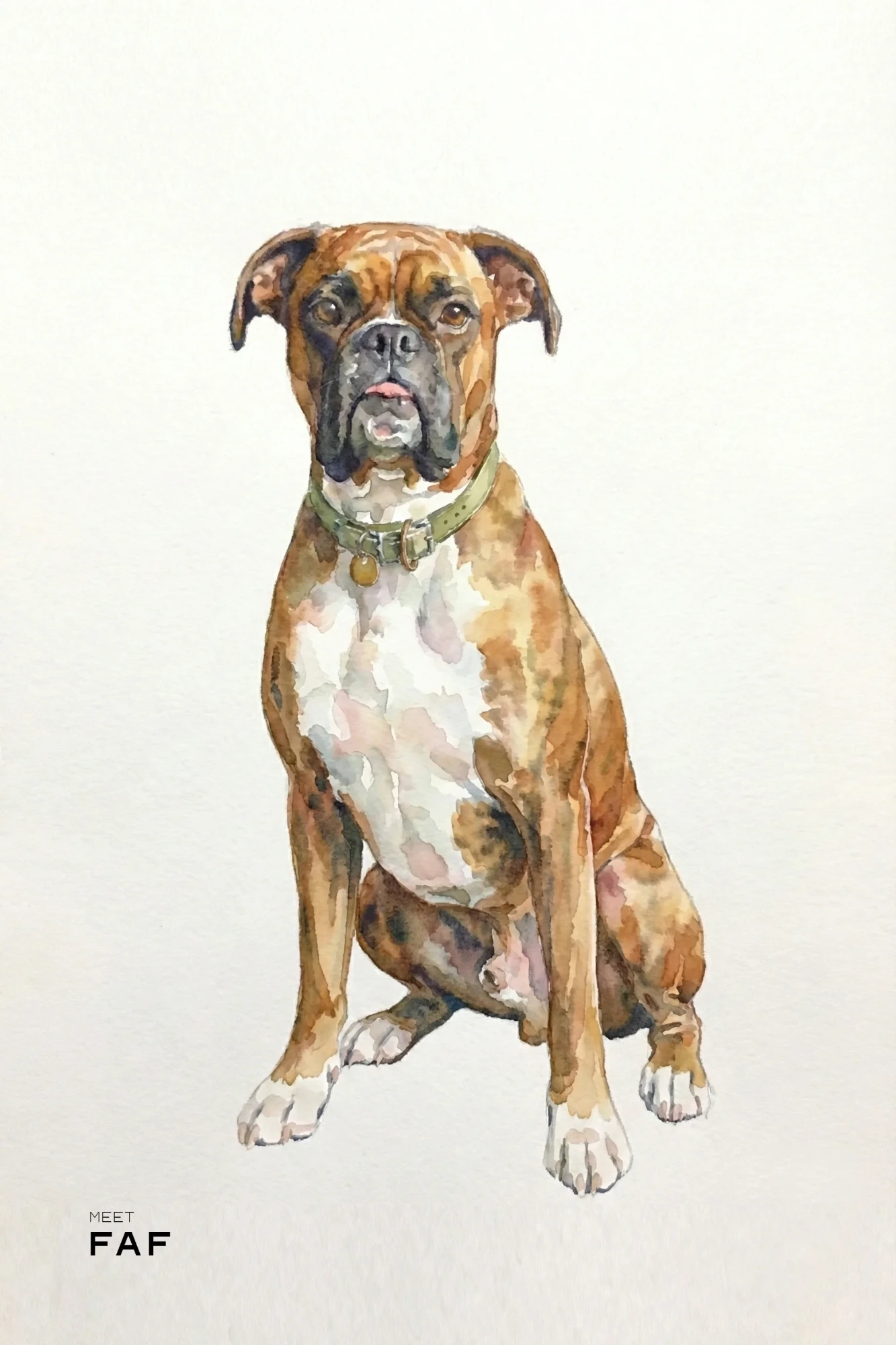 Watercolor portrait of Faf, a boxer with a green collar, on white paper