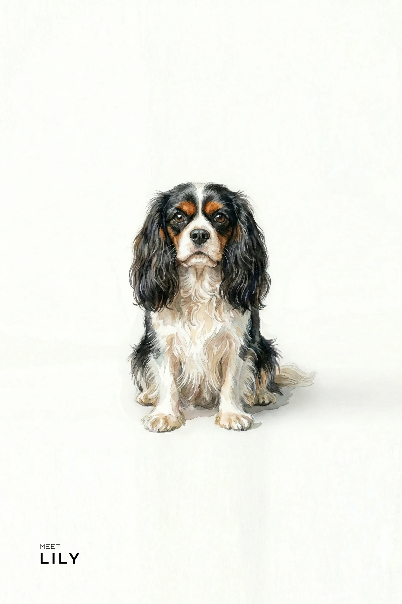 Watercolor portrait of Lily, a cavalier spaniel, on white paper