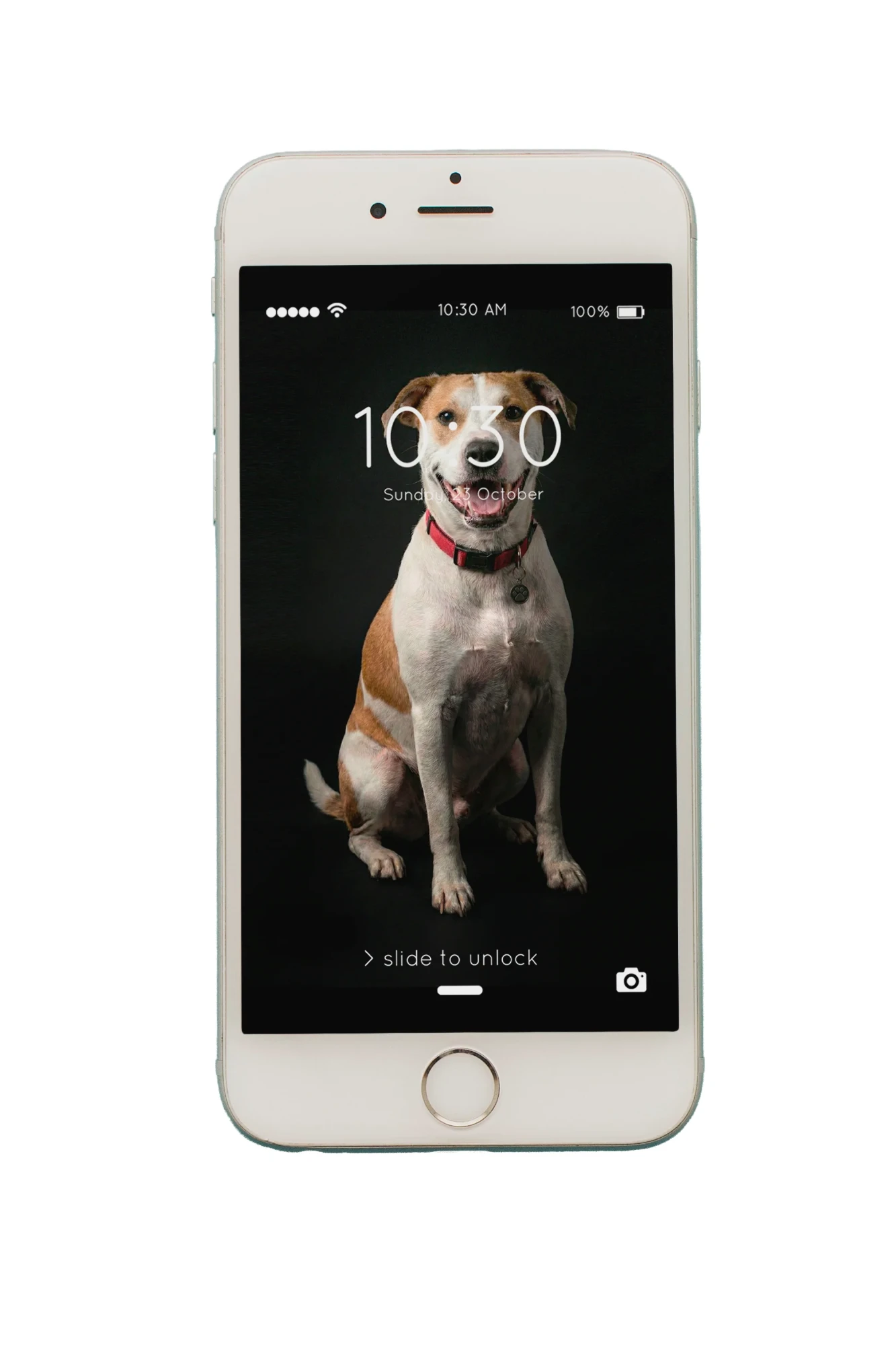 Phone lock screen showing a studio portrait of Benjy as the wallpaper