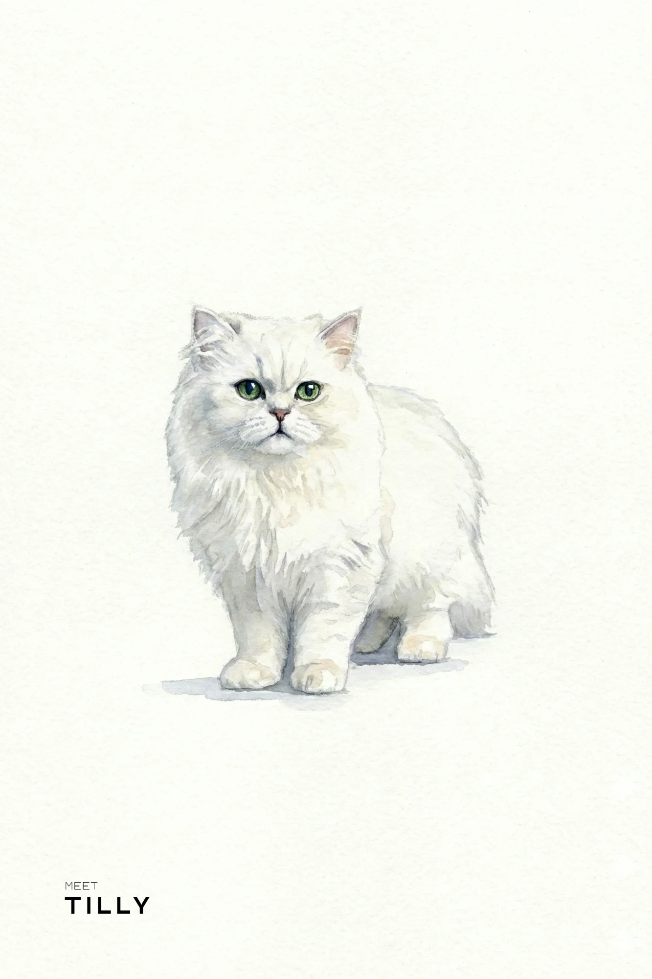 Watercolor portrait of Tilly, a fluffy white cat with green eyes
